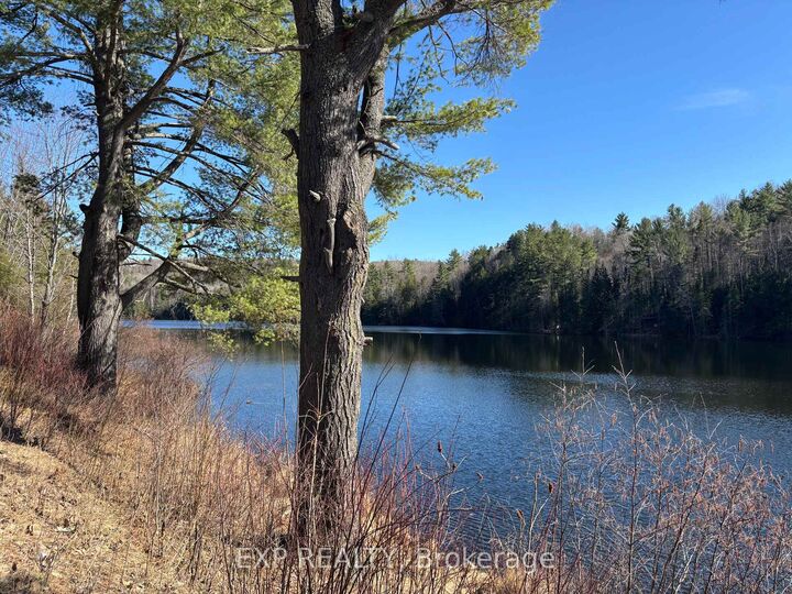 000 Opeongo Road — photo 1