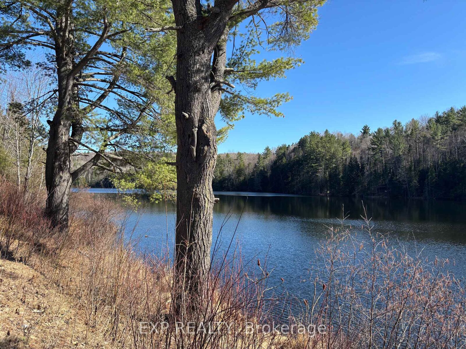 Property Photo:  000 Opeongo Road  ON K0J 2N0 