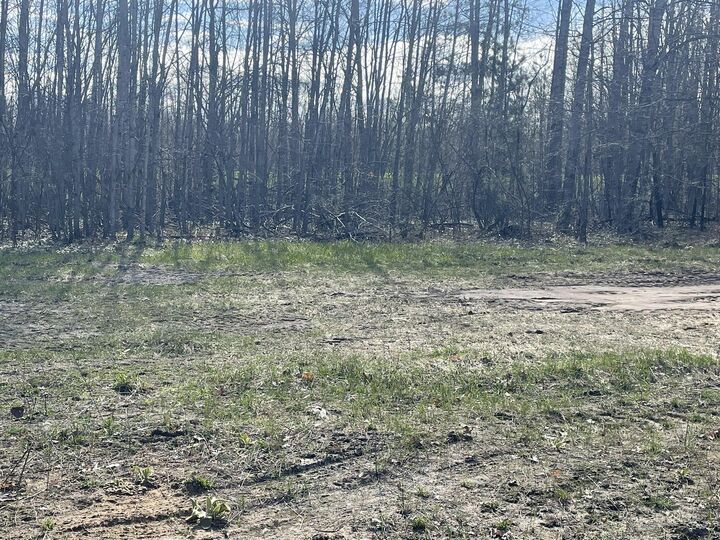 Property Photo:  2.1 Acres Club Road  MI 49749 