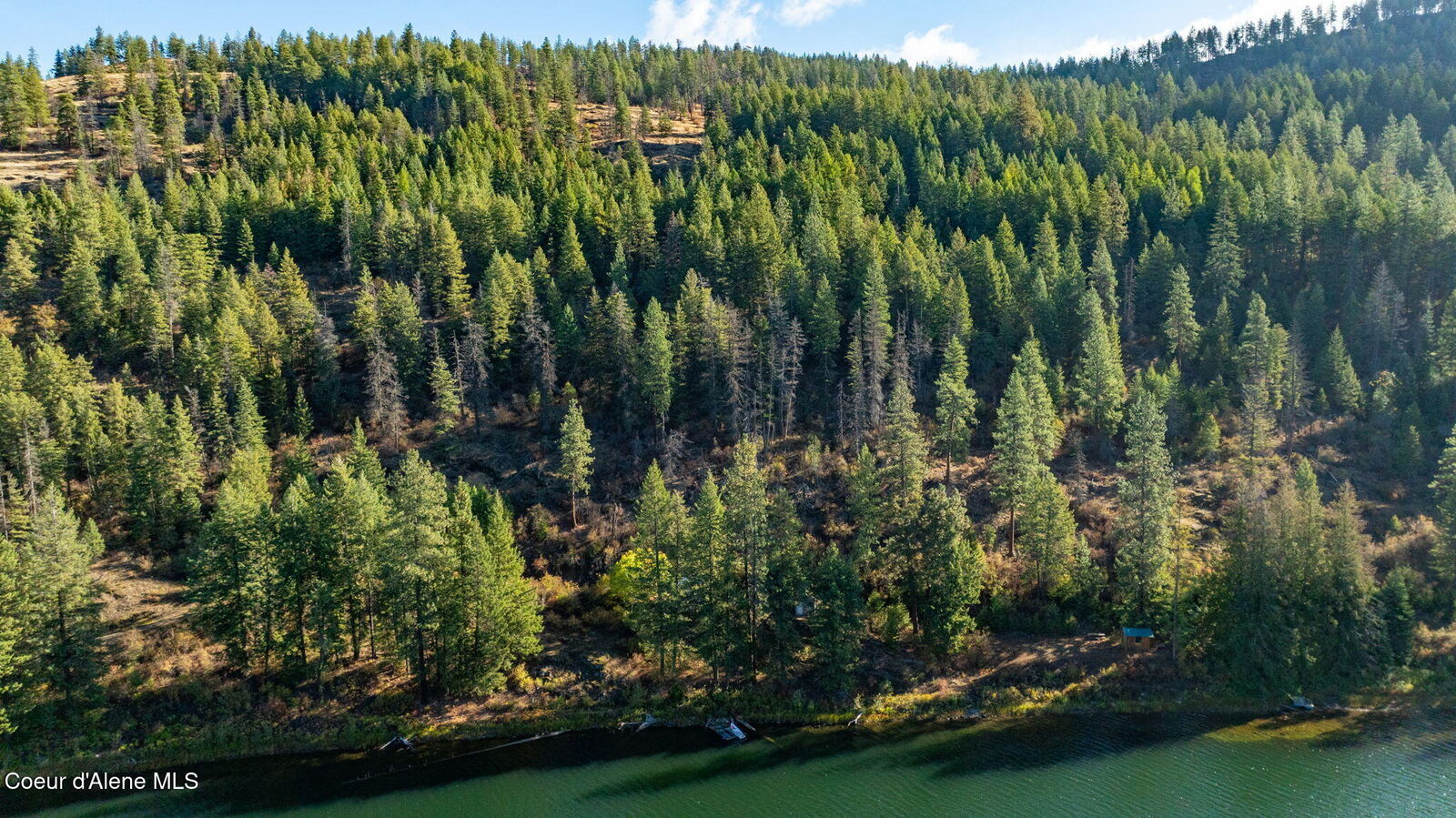 Property Photo:  1402 Mirror Lake Rd  ID 83860 