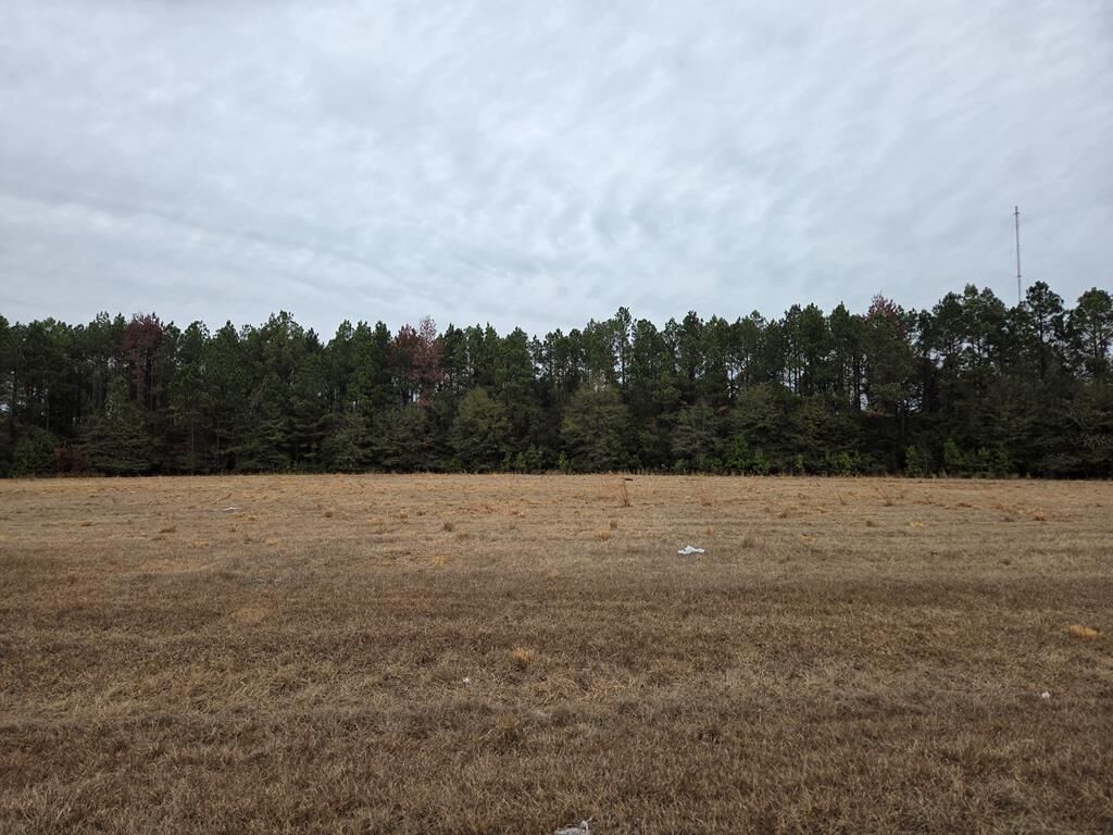 Property Photo:  118 Joe Wright Drive/New Harvest Road Lot A  GA 31015 