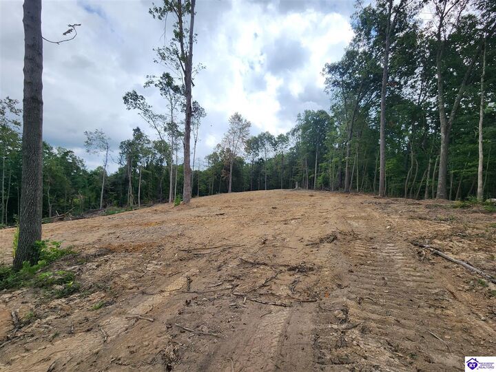Property Photo: Tract 1 Leitchfield Road KY 42724