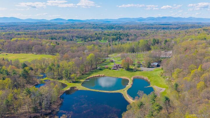 Property Photo:  81 Union Center Road  NY 12487 