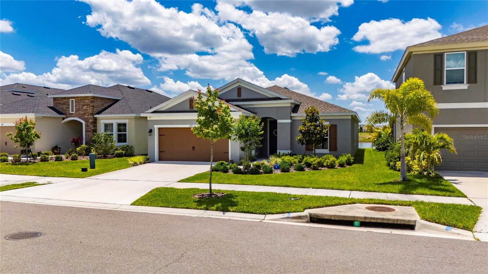 Property Photo: 6081 Hidden Branch Drive FL 33572