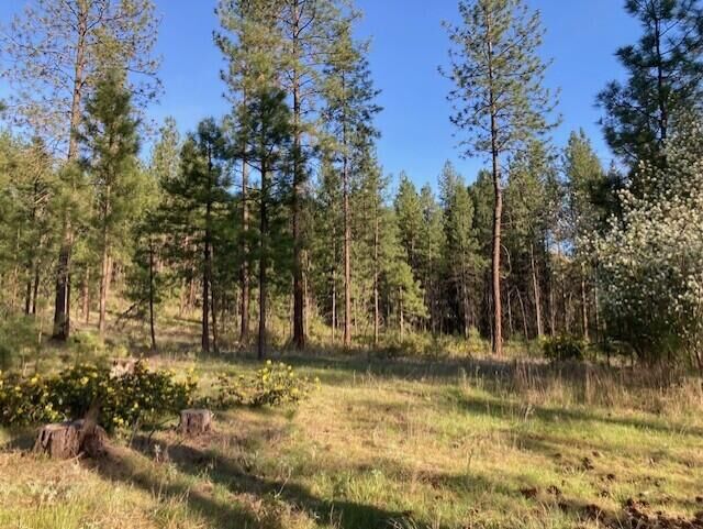 Property Photo:  1172 Fumi Cir  WA 99141 