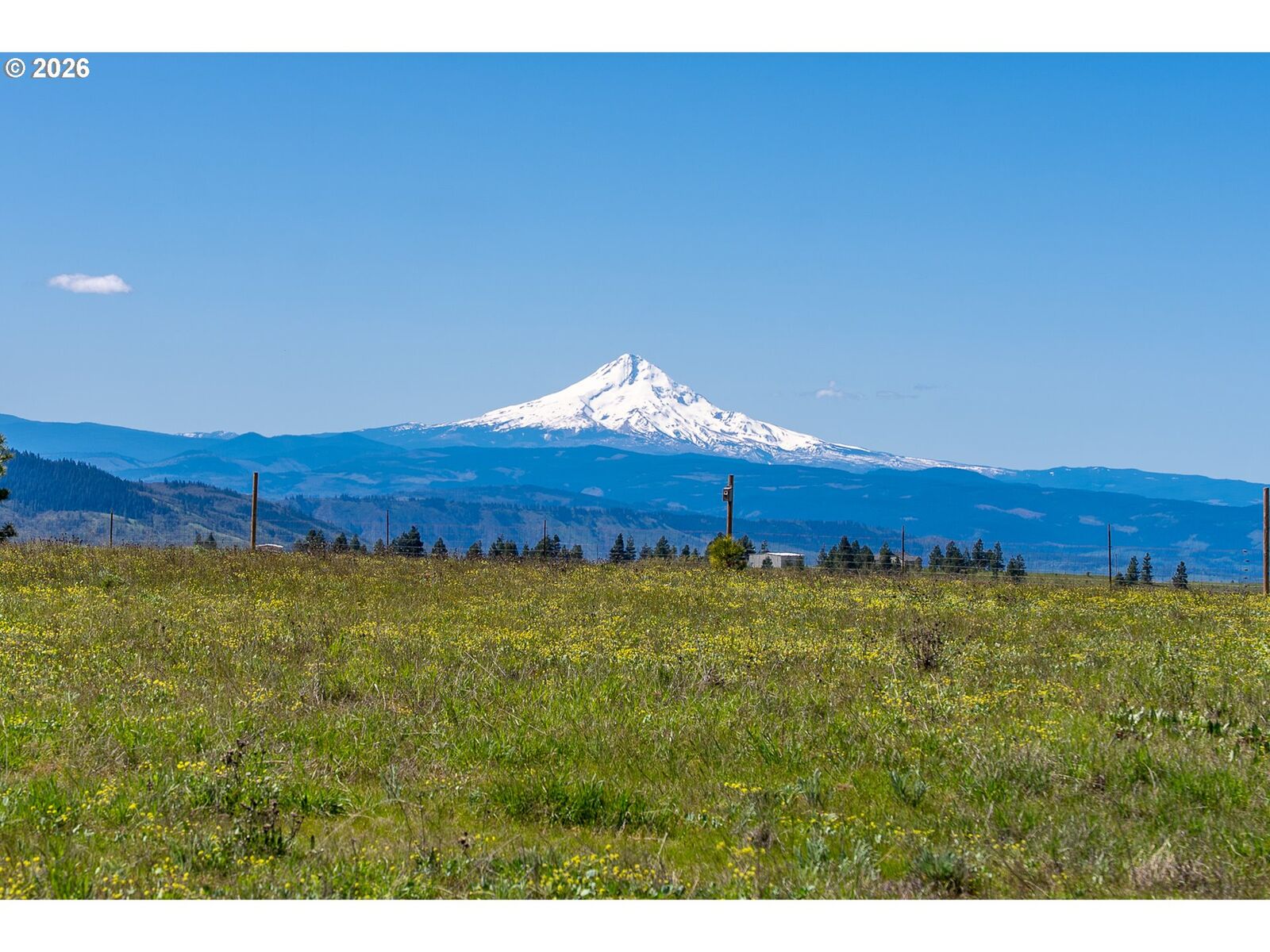 Property Photo:  Morris Rd  WA 98635 