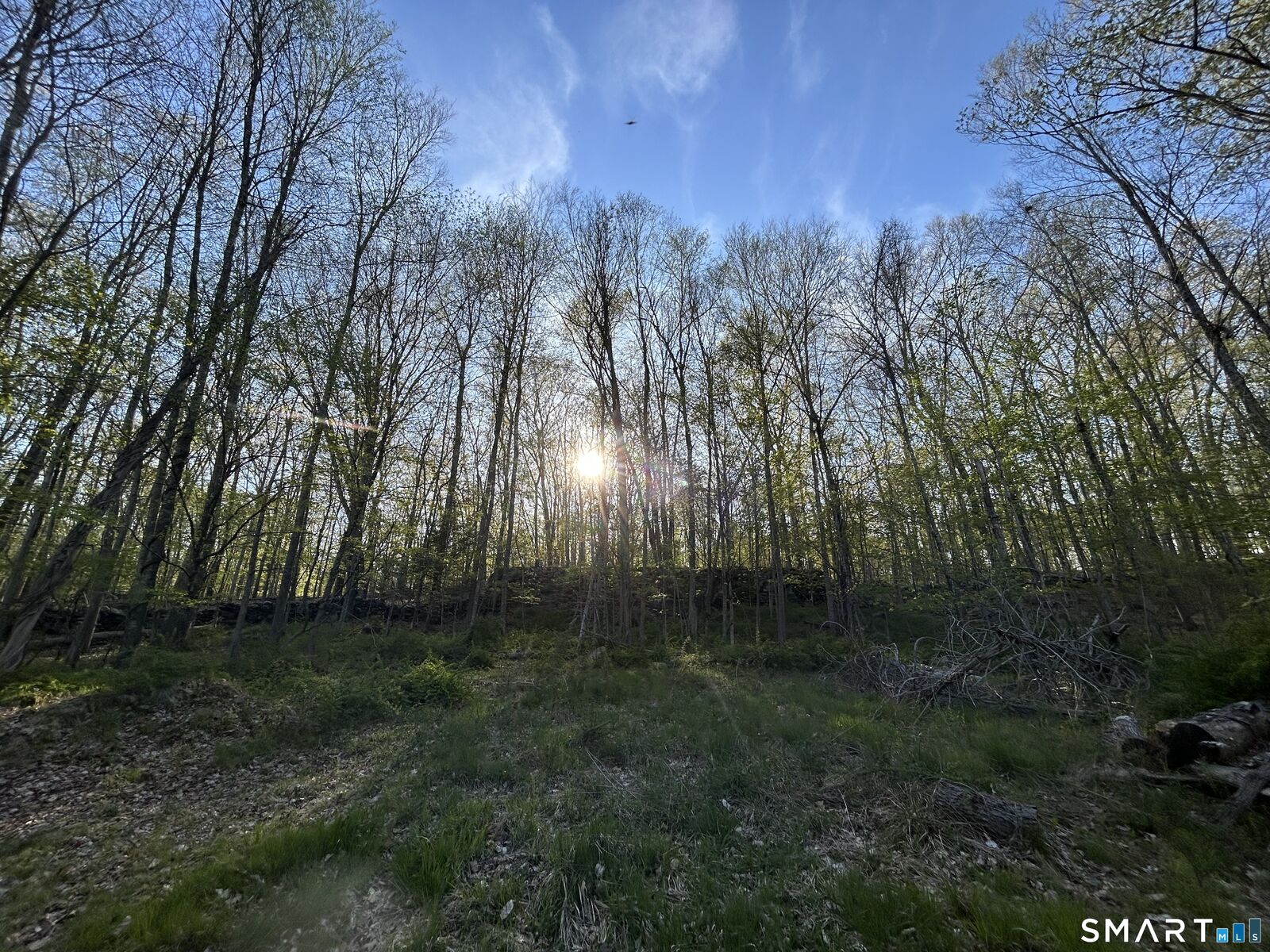 Property Photo: 78 Salt Rock Road CT 06330
