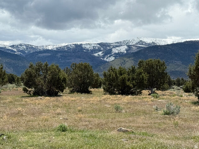 Property Photo:  Unknown  UT 84662 