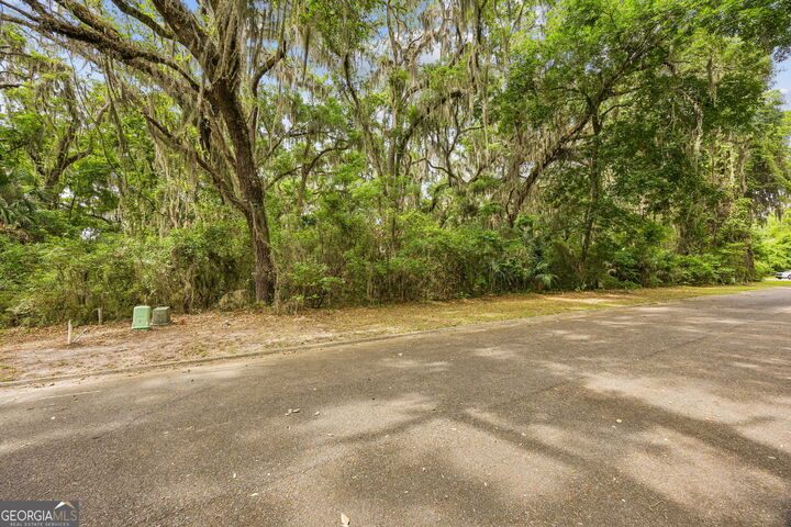 Property Photo:  103 Wagner Lane  GA 31558 