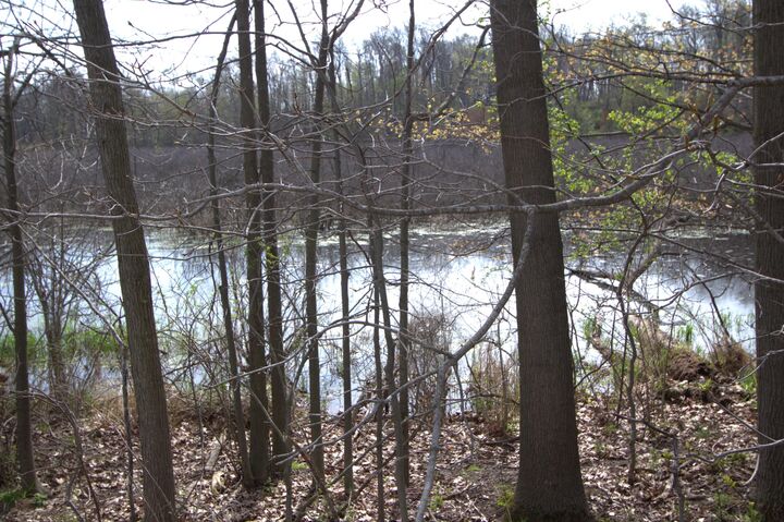 Property Photo:  V/L Frost Road  MI 48875 