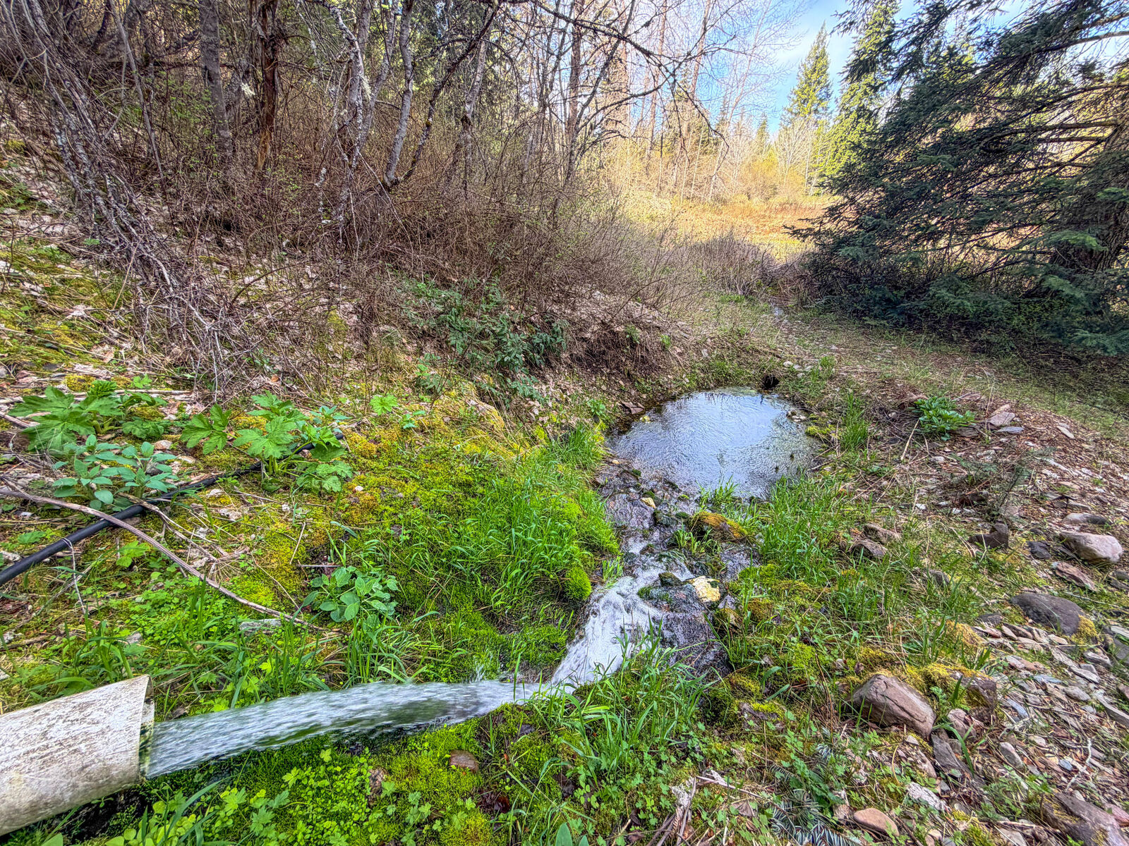 Property Photo:  4224 Grouse Creek Rd  WA 99148 