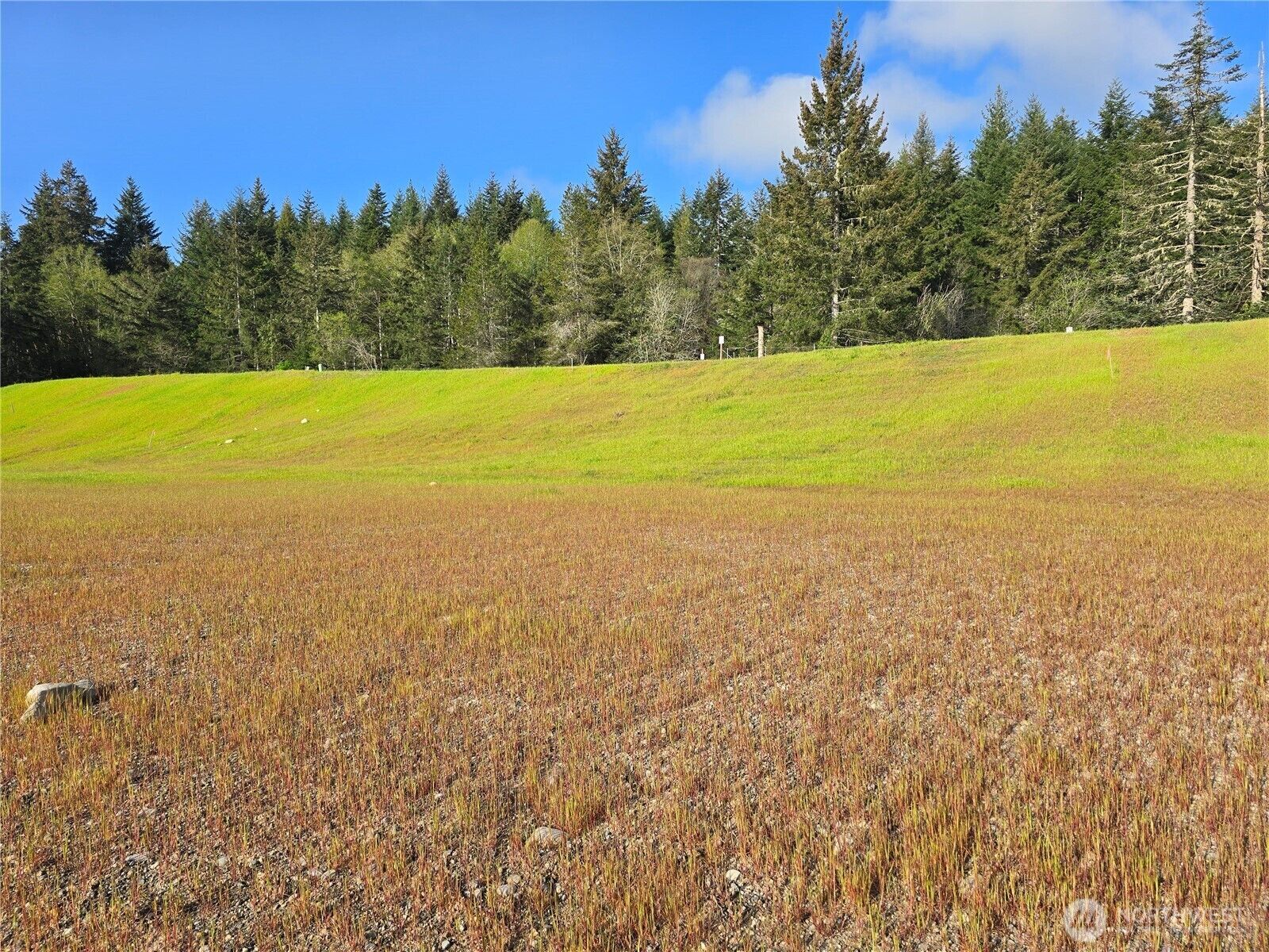 Property Photo:  51 E Virgil Drive W  WA 98524 