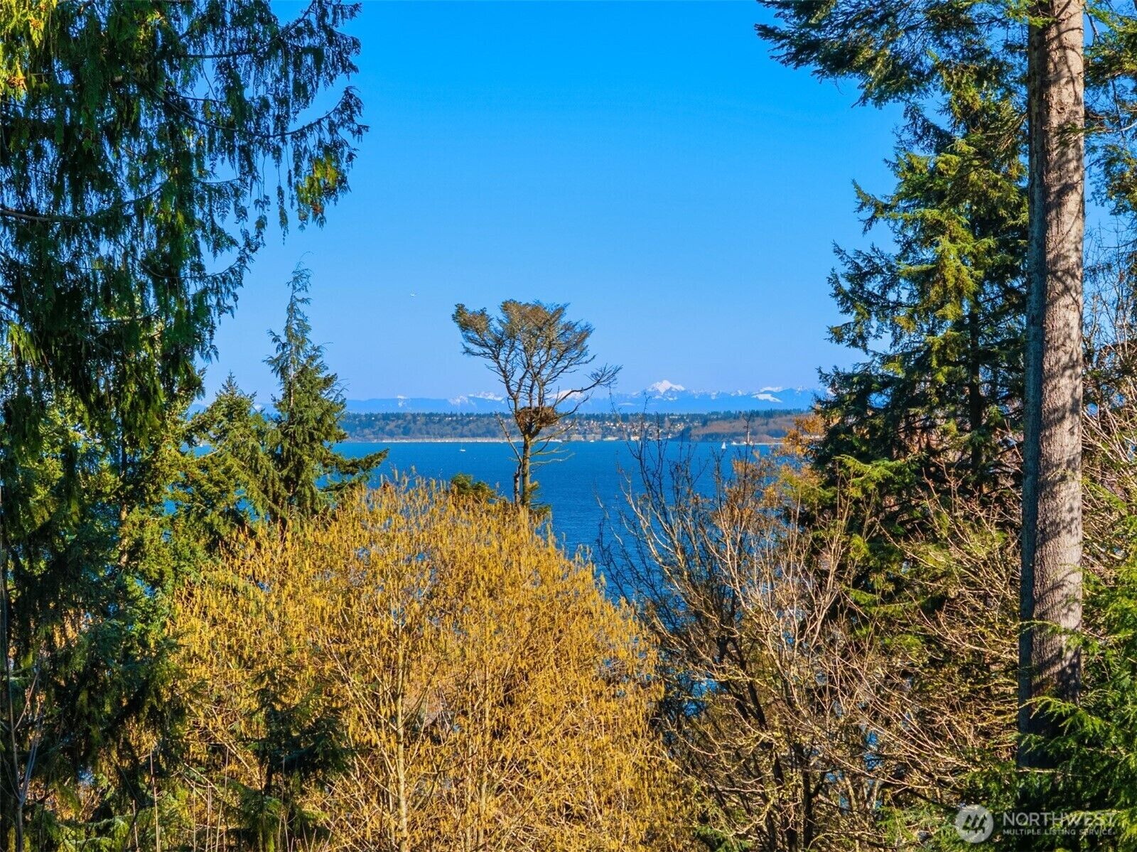 Property Photo: 10700 NE Broomgerrie Road WA 98110