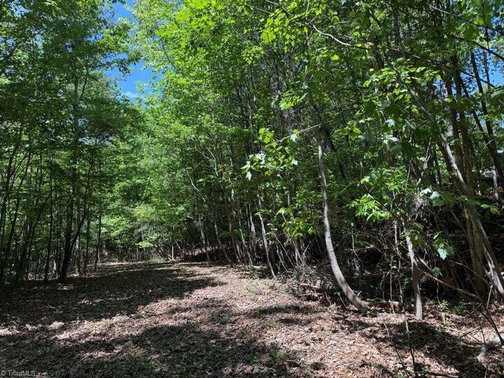 Property Photo:  00 Broadview Drive  NC 27040 