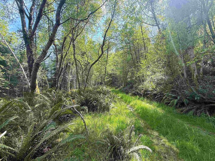 Property Photo: Lot 11 Bodega Beach Drive BC V0N 1P0