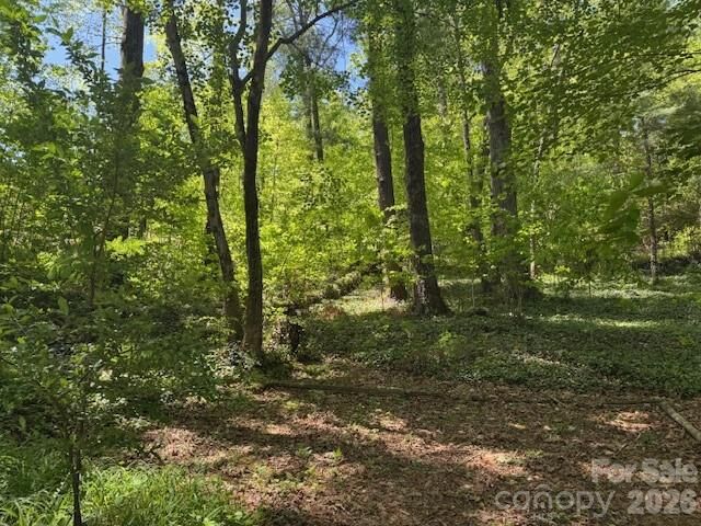 Property Photo:  000 Skyline Drive 17  NC 28791 