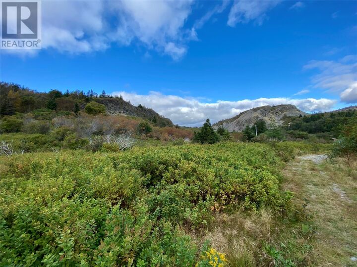 Property Photo:  6-8 Old Road North  NL A0A 3S0 