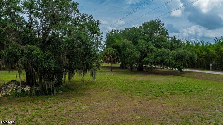 Property Photo:  75 Ft Denaud Bridge Way  FL 33935 