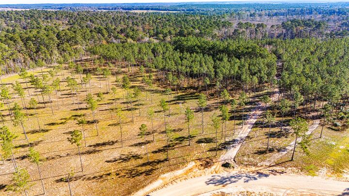 Property Photo:  Lot 19 Big Buck Drive  TX 75960 