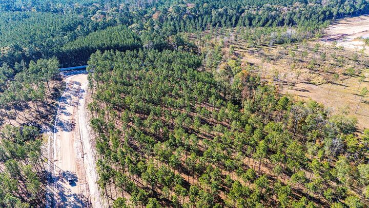 Property Photo:  Lot 13 Big Buck Drive  TX 75960 