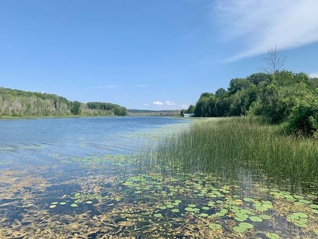 Property Photo:  9412 Six Mile Lake  MI 49729 