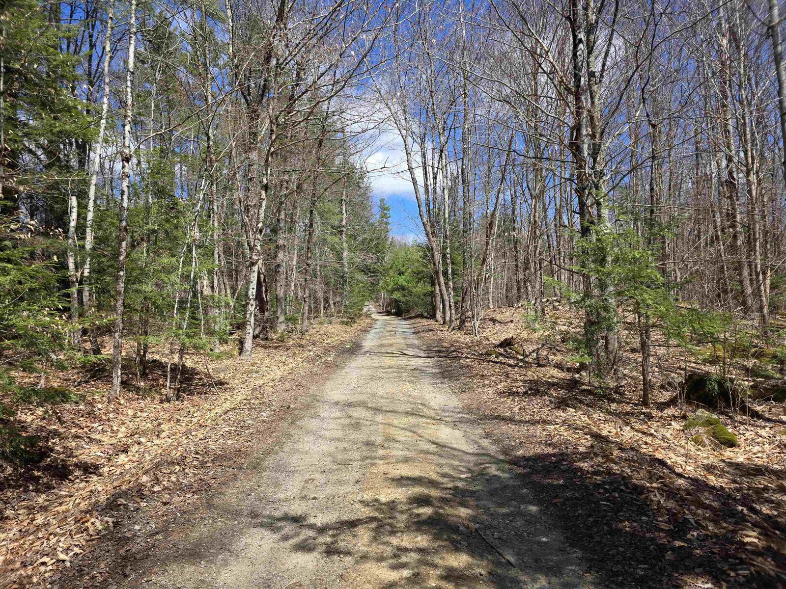 Property Photo: 0 Mansfield Road NH 03456