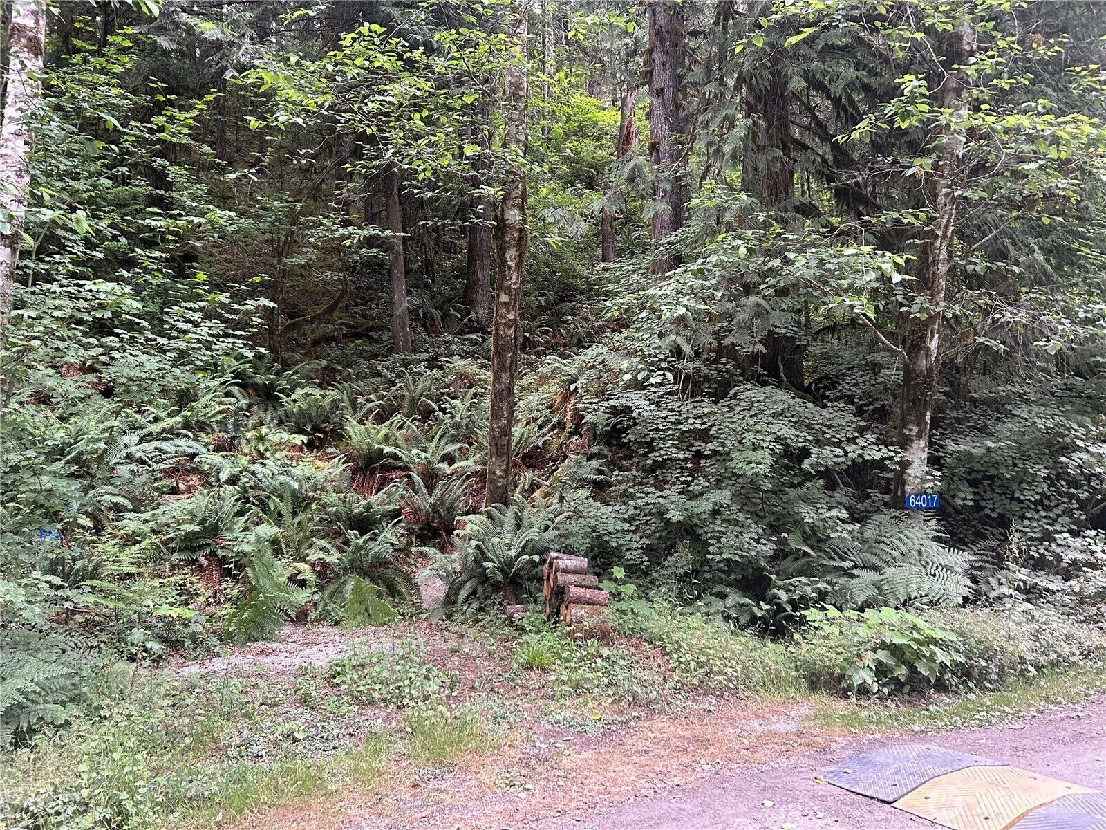 Property Photo:  64017 E Cascade Drive  WA 98267 