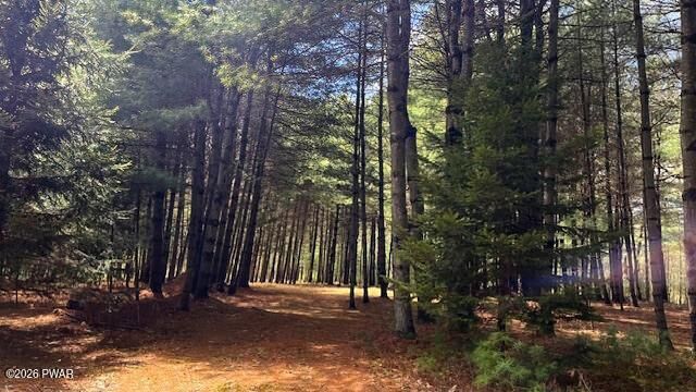 Property Photo:  Lot 20 White Road  NY 12737 