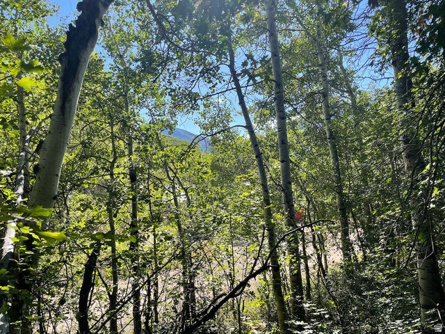 Property Photo:  10337 N River Rd 123  UT 84055 