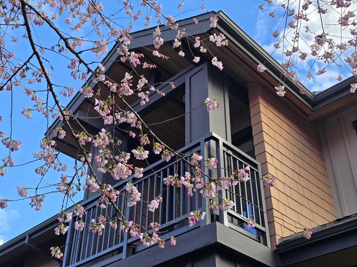 555 Raven Woods Drive 29 — photo 1