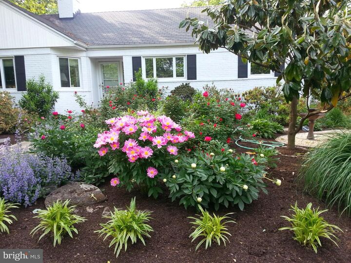 Property Photo:  2506 N Upshur Street  VA 22207 