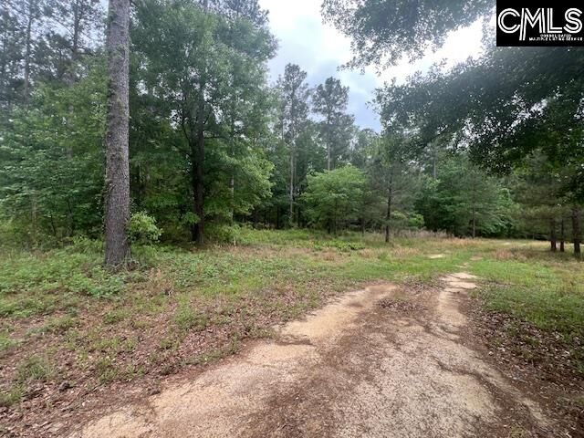 Property Photo:  Fox Young  SC 29164 