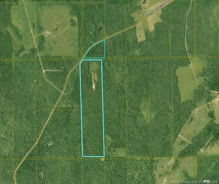Property Photo: - Woodland - South Oromocto Lake Rd NB E5L 2R2