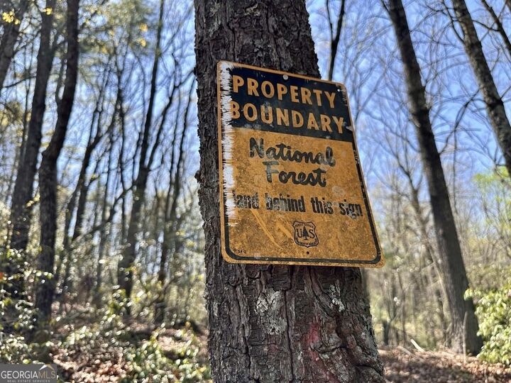 Property Photo:  Tr 1 Pleasant Hill Trail  GA 30540 