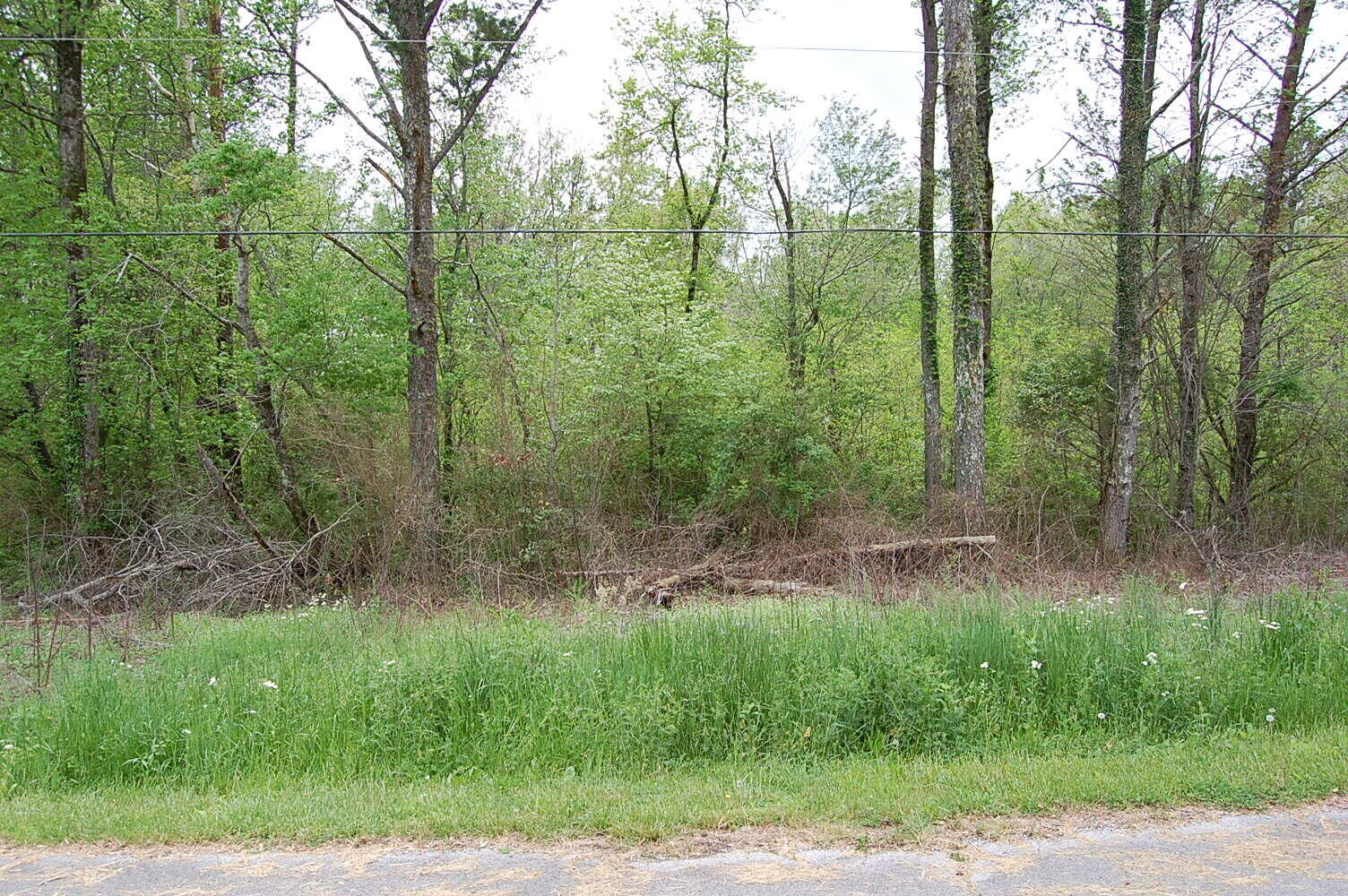 Property Photo:  66 51st Avenue  TN 37339 