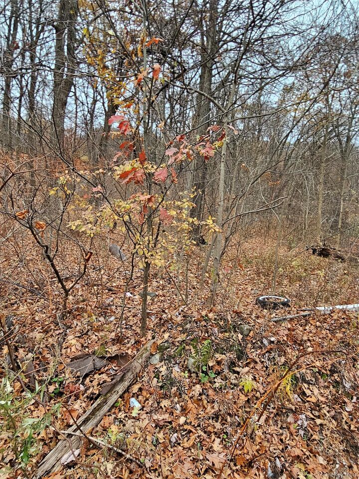Property Photo:  35 Apple Street  NY 10974 