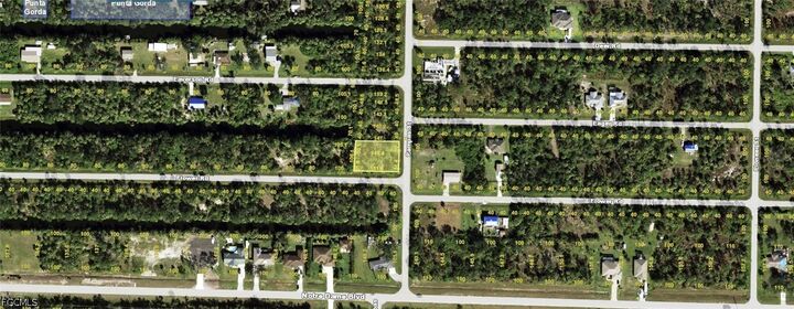 Property Photo:  11391 Pampas Street  FL 33955 