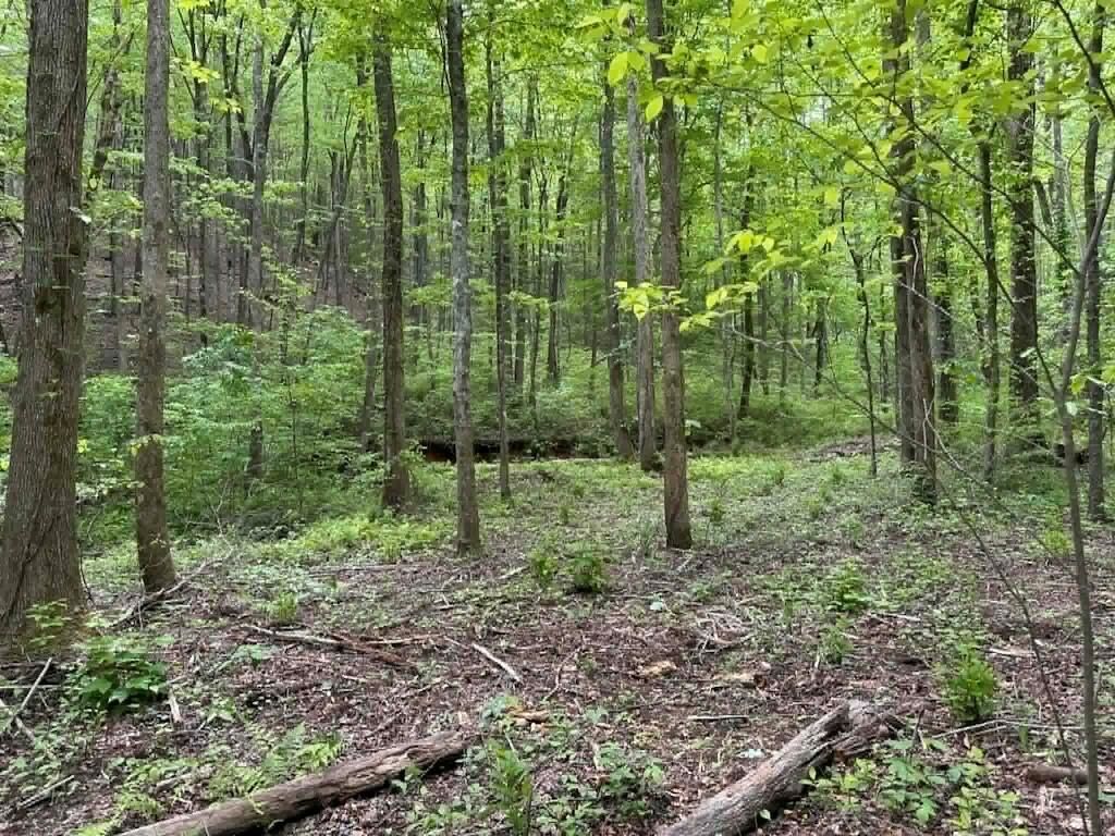 Property Photo:  Tr 1 Pleasant Hill Trail  GA 30540 
