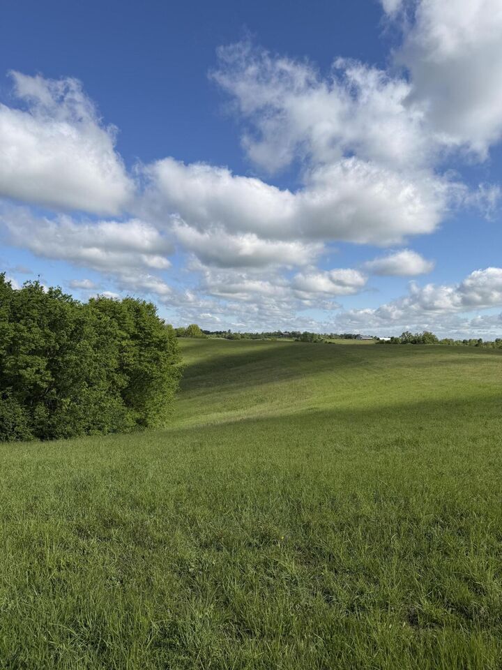 Property Photo: 5.11 Ac Chipman Ridge Road KY 41097