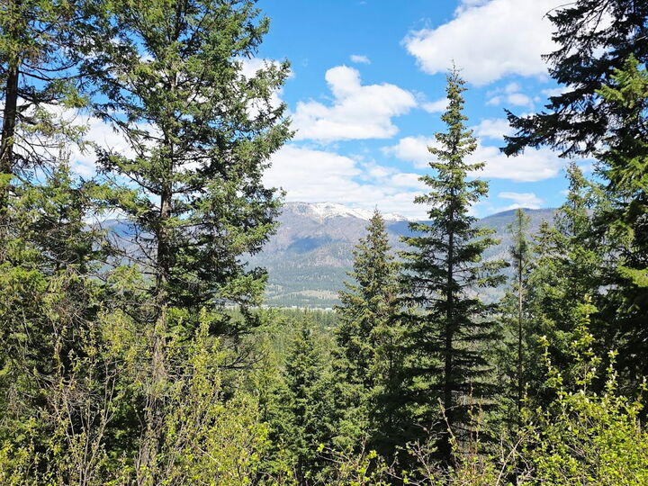 Property Photo:  93 Wapiti Point Road  MT 59873 