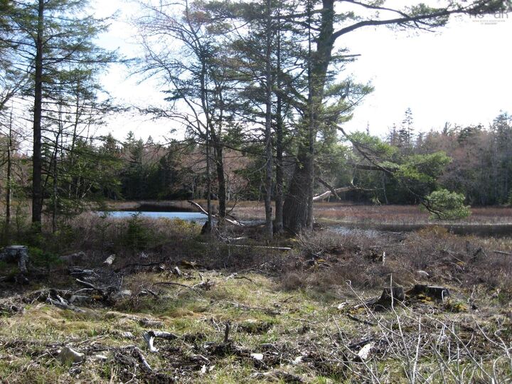 77 Bear Cove Road — photo 1