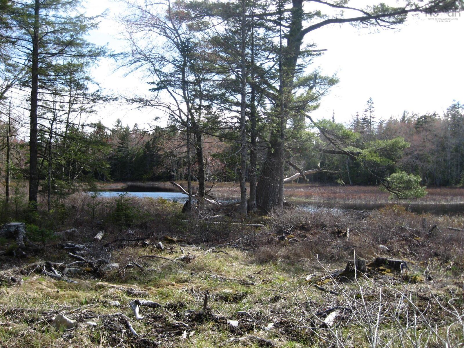 Property Photo:  77 Bear Cove Road  NS B0T 1E0 