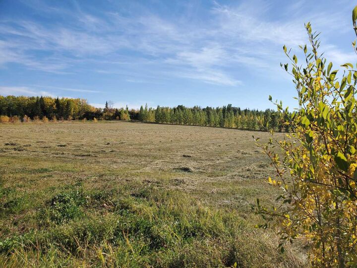 Property Photo: 68164 Campsite Road 105 AB T0A 2T0