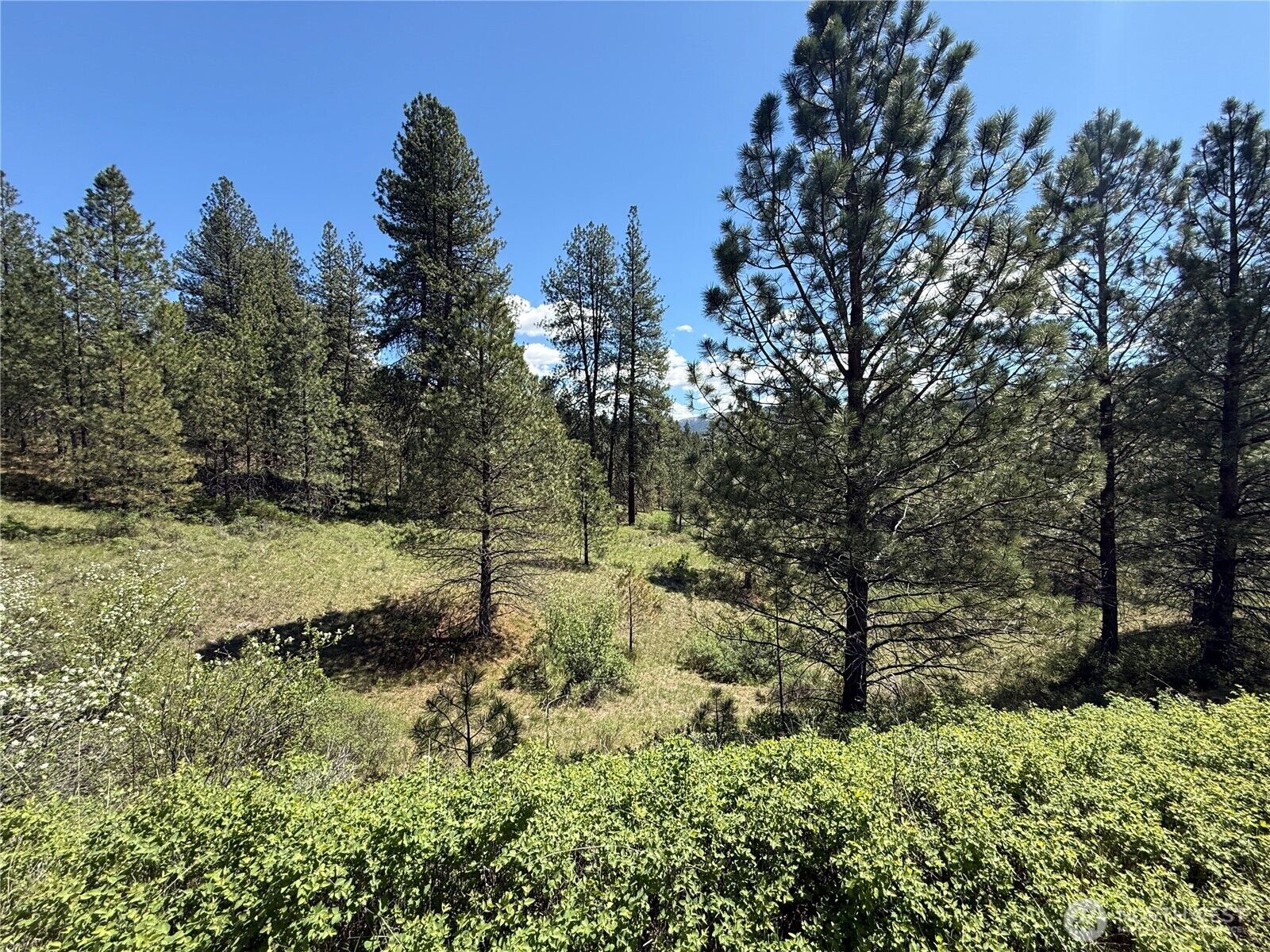 Property Photo:  0 Tbd  Fir Lane  WA 99118 