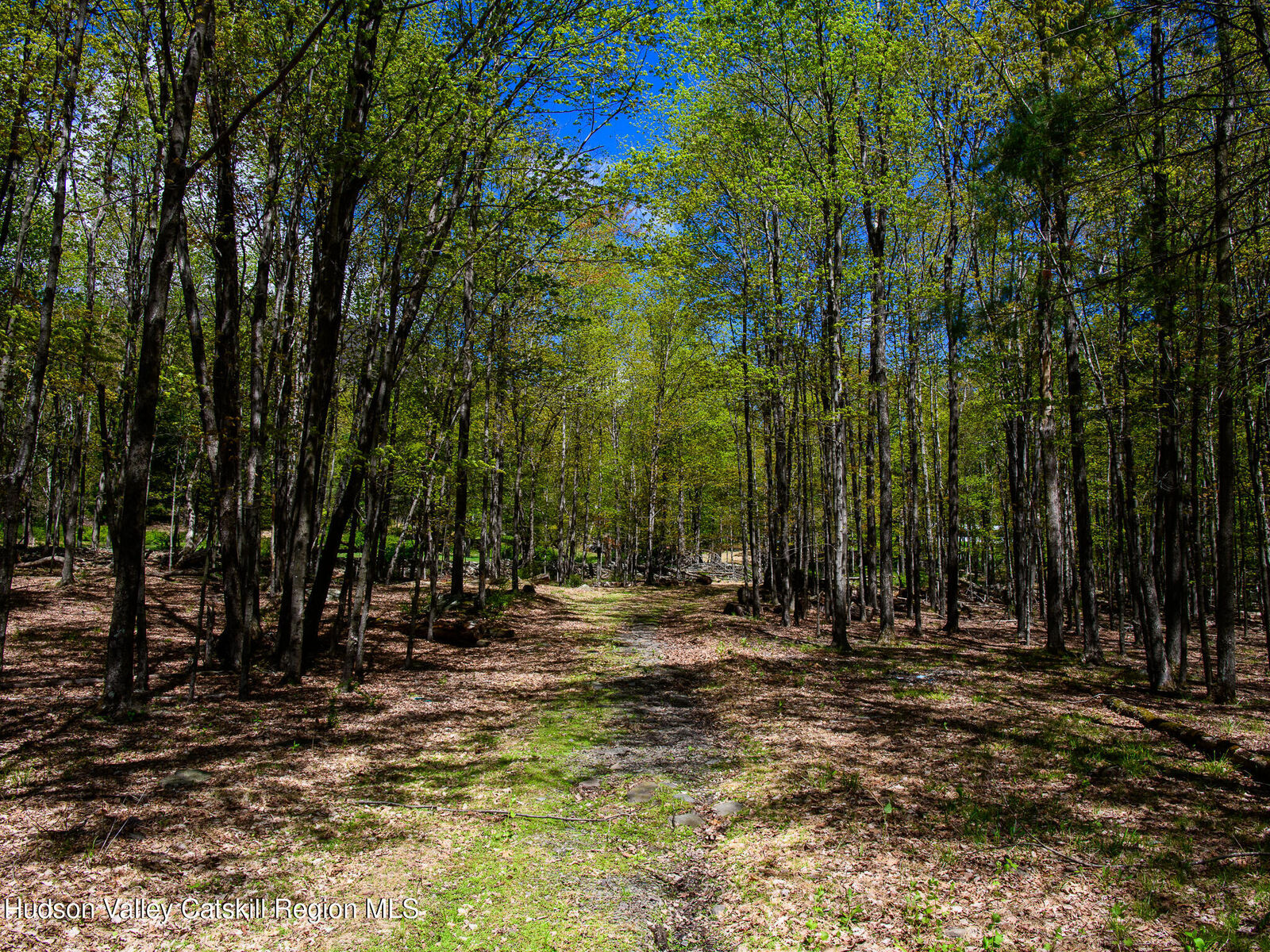 Property Photo:  000 Upper Samsonville  NY 12461 