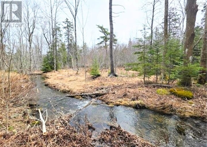 Property Photo:  0 Upper Leitches Creek Road  NS B2A 1Z2 