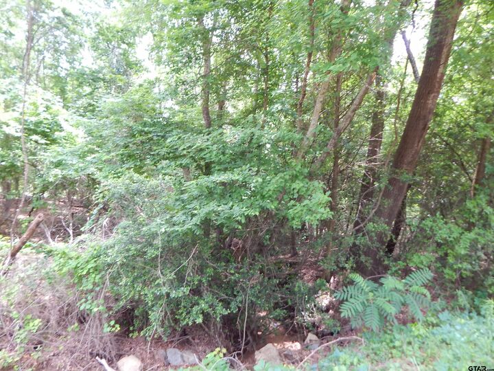 Property Photo:  Tbd 15 Acres Locust Rd  TX 75645 