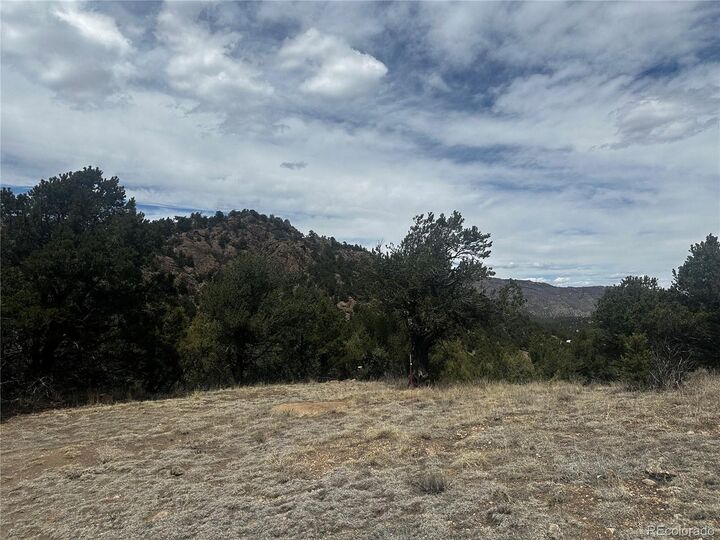 Property Photo:  938 Shoshone Dr  CO 81212 