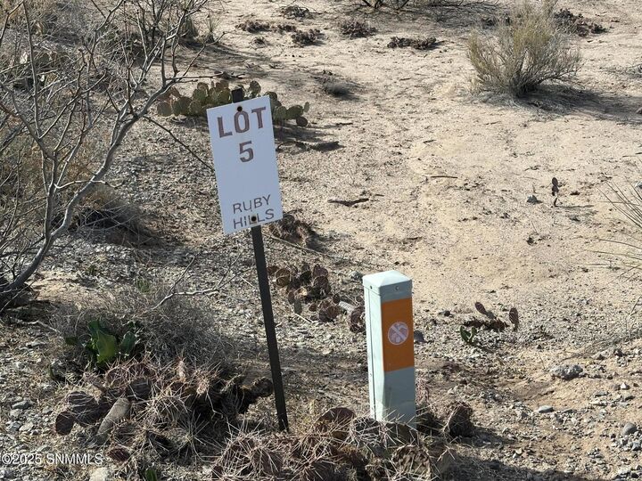 Property Photo:  465 Ruby Hills Court  NM 88007 