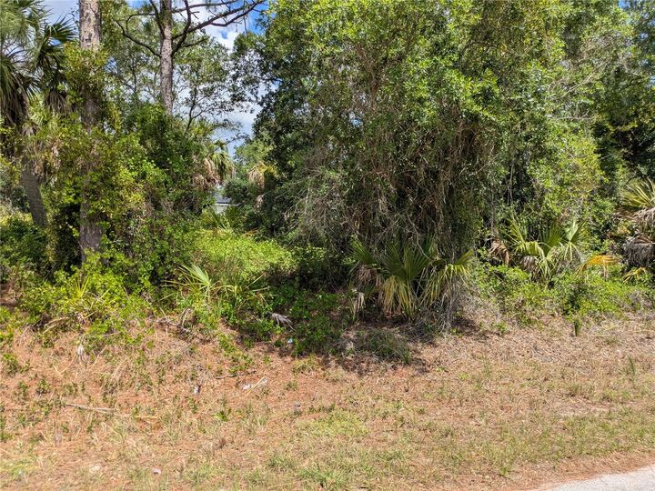 Property Photo:  Delight Avenue  FL 34288 